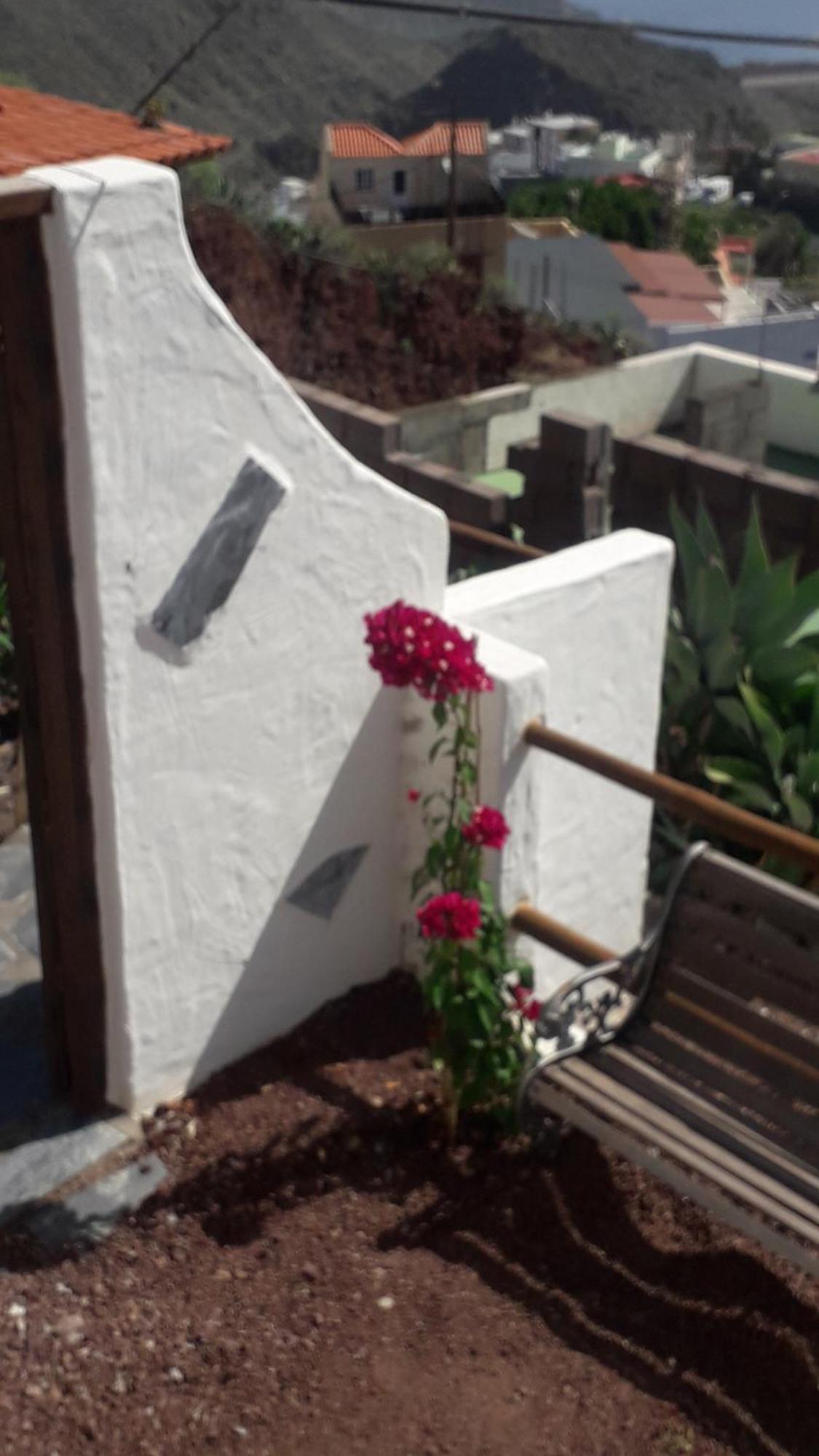 Nueva Casa Rural Piscina Privada Santa Cruz de Tenerife Exterior foto